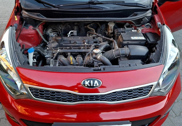 Kia Rio cena 37900 przebieg: 114000, rok produkcji 2016 z Nasielsk małe 562